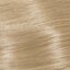 10/13 najsvetlejšia popolavo zlatá blond